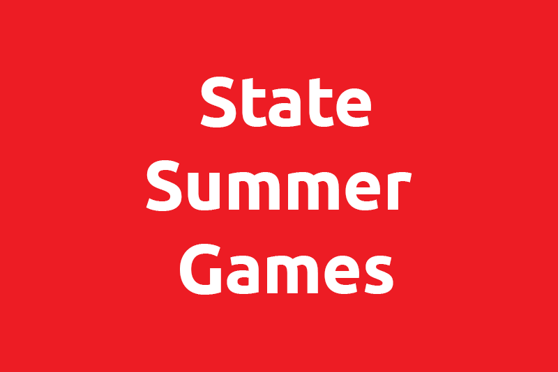 sonm-state-summer-gamess