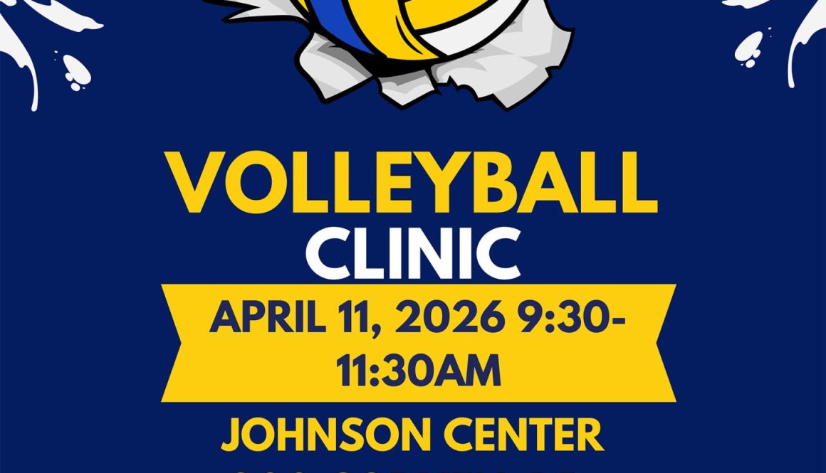 UNM Volleyball Coach's Clinic Poster